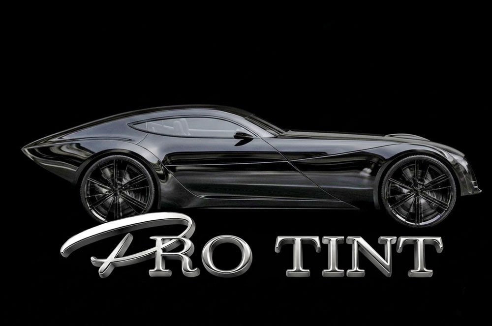 Protint Logo