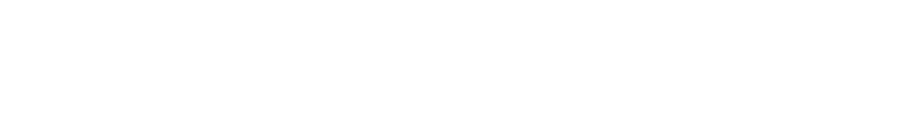 Protint Logo